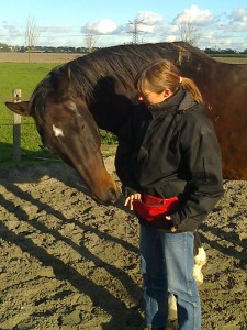 Natuurlijk aan het werk met paard Mister