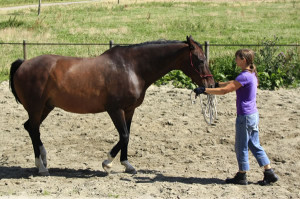 Freestyle lessen: achterwaarts met Mister