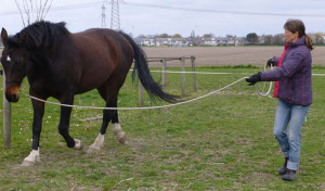 Freestyle lessen - Grondwerk