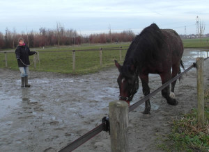 Freestyle lessen - Loswerken